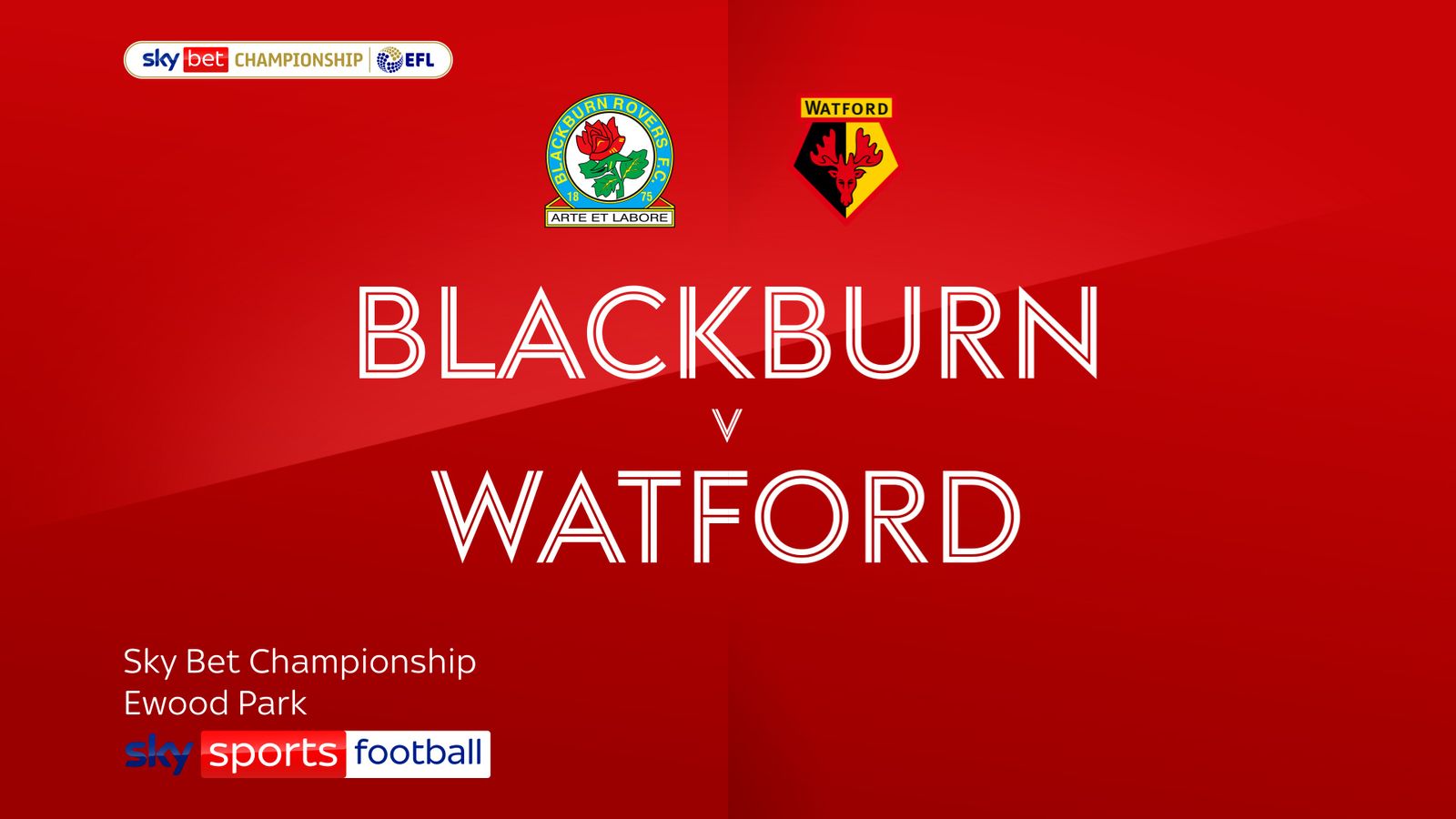 Blackburn Rovers 1-2 Watford: Mileta Rajovic and Rhys Healey steer ...