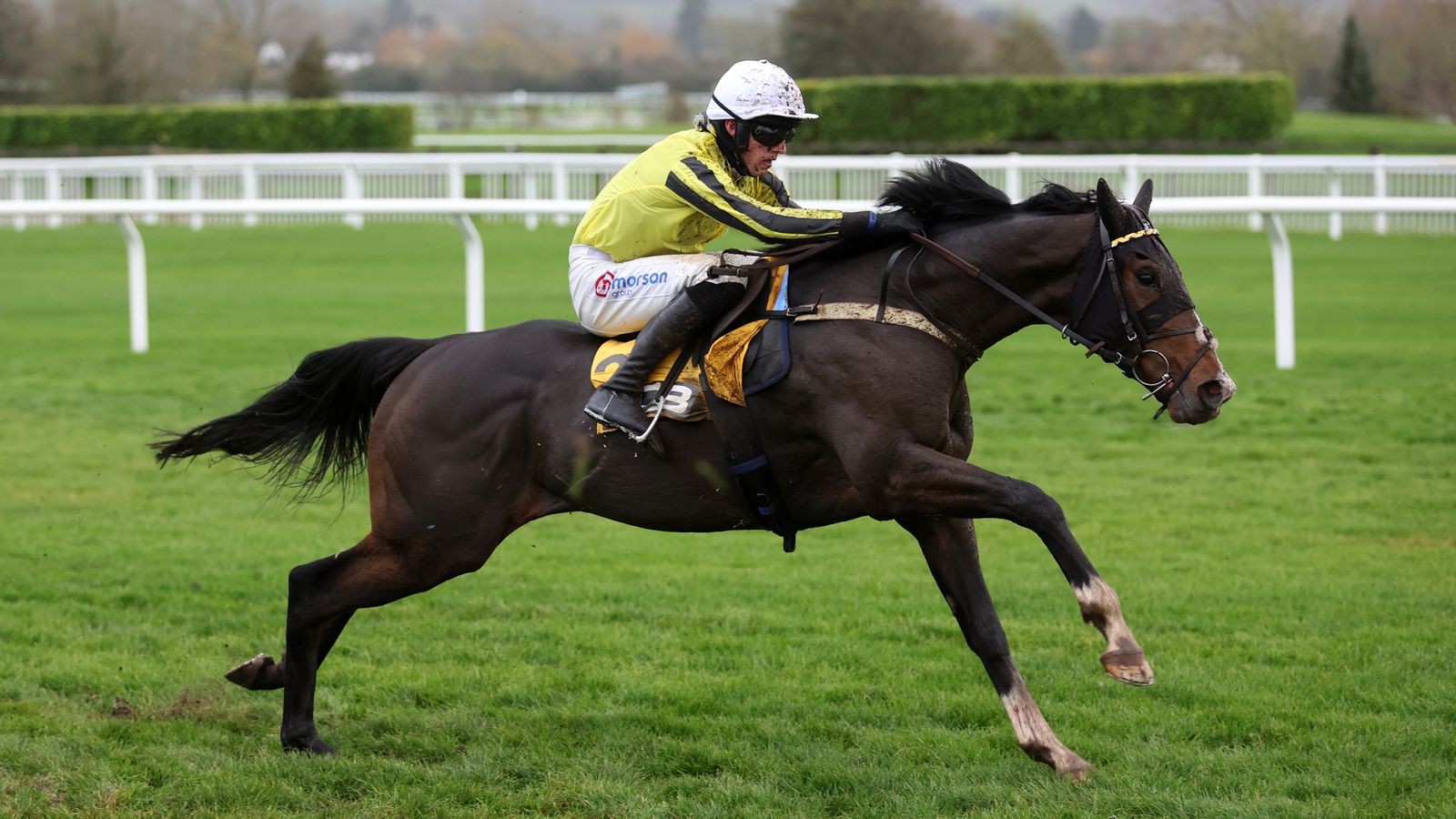 Finale Juvenile Hurdle Triumph Hurdle favourite Burdett Road heads to