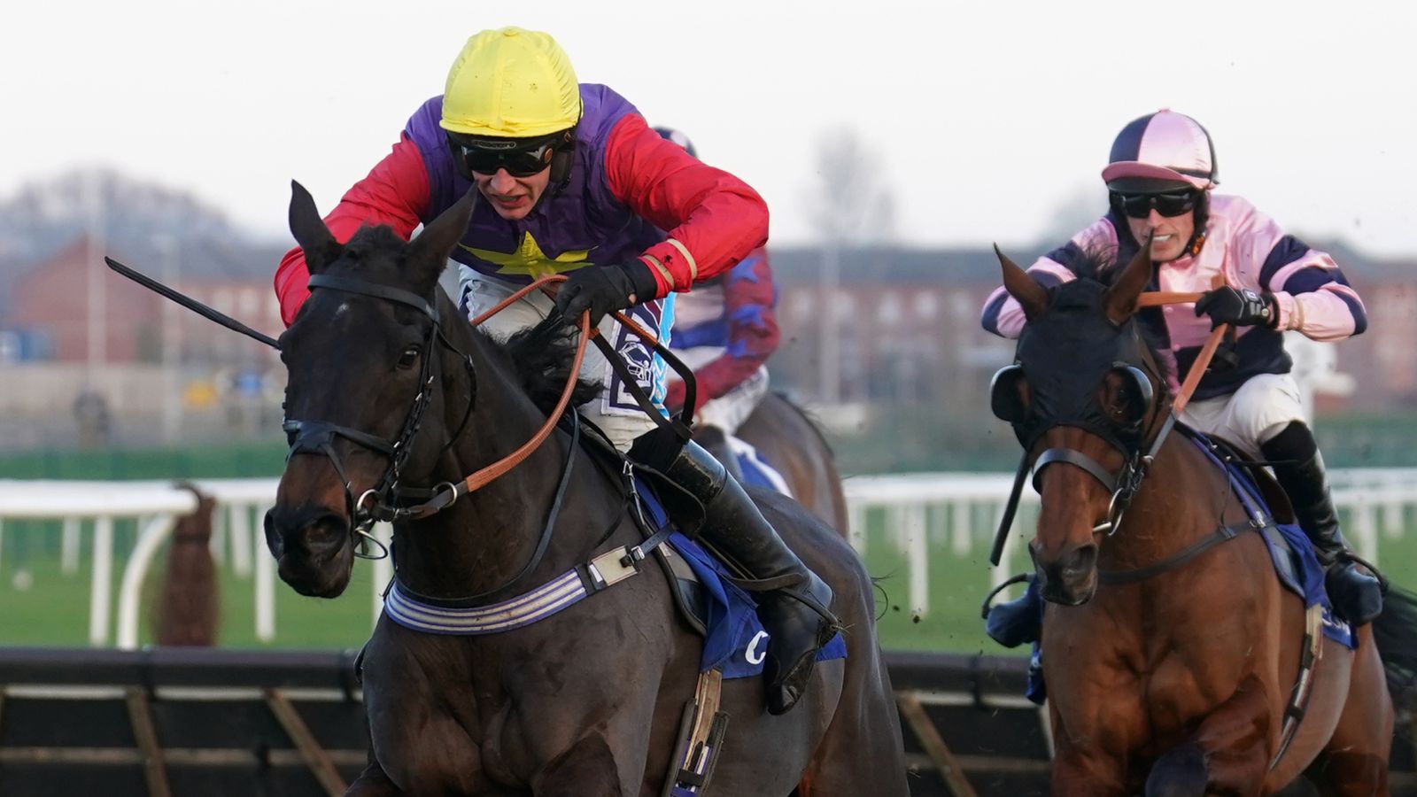 Dashel Drasher All Set For Ascot's Long Walk Hurdle, Says Jeremy Scott ...