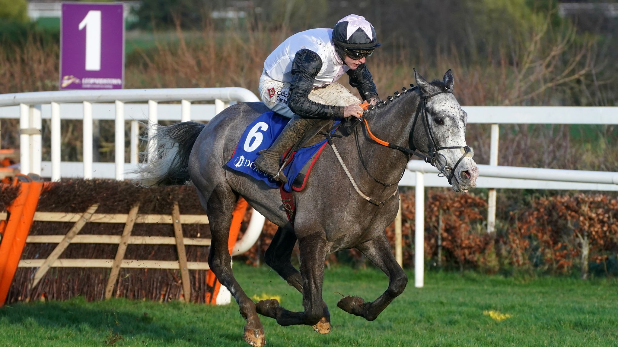 Jack de Bromhead Christmas Hurdle: Irish Point shines on Grade 1 stage ...