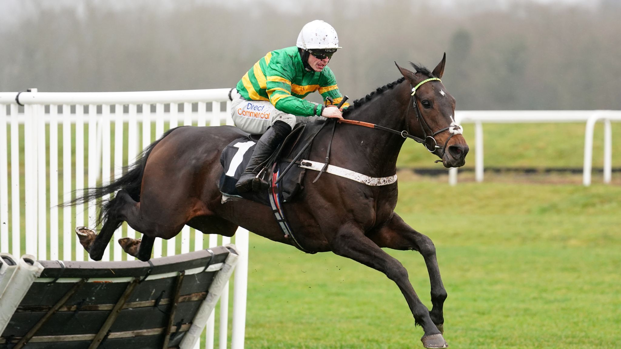 Doncaster's Rossington Main Novices' Hurdle Horsebyhorse guide to