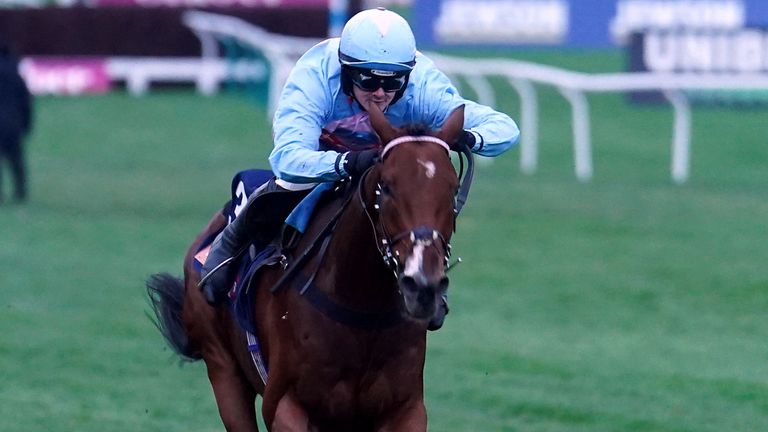 Brechin Castle ridden by jockey Jack Quinlan on their way to winning the Turners Open National Hunt Flat Race on day three of The November Meeting at Cheltenham