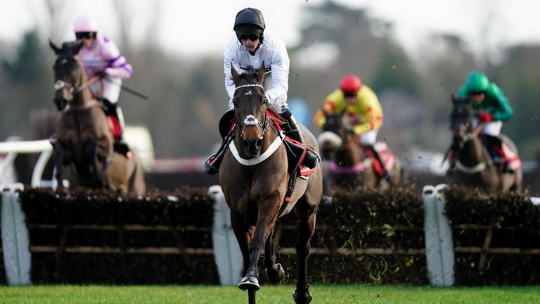 Constitution Hill wins at Kempton in the Christmas Hurdle