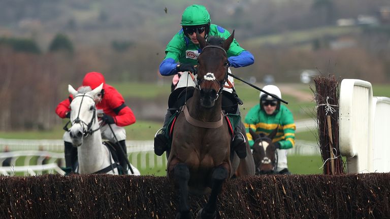 Ginny's Destiny ridden by Harry Cobden jumps the last before winning the Cheltenham and South-West Racing Club Novices' Chase during day one of the The Christmas Meeting at Cheltenham