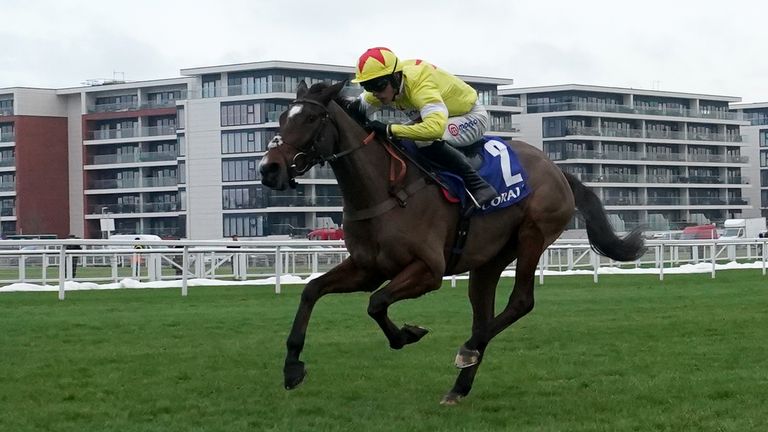 Hermes Allen clears away to win the Grade Two John Francome Novices&#39; Chase at Newbury