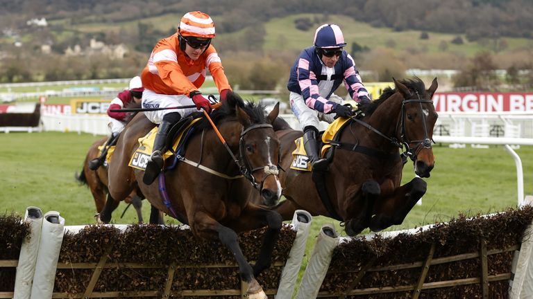 An Bradan Feasa jumps the last in the Triumph Trial at Cheltenham