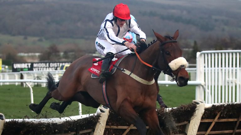 White Rhino ridden by Henry Brooke on their way to winning the Citipost Handicap Hurdle during day one of the The Christmas Meeting at Cheltenham 