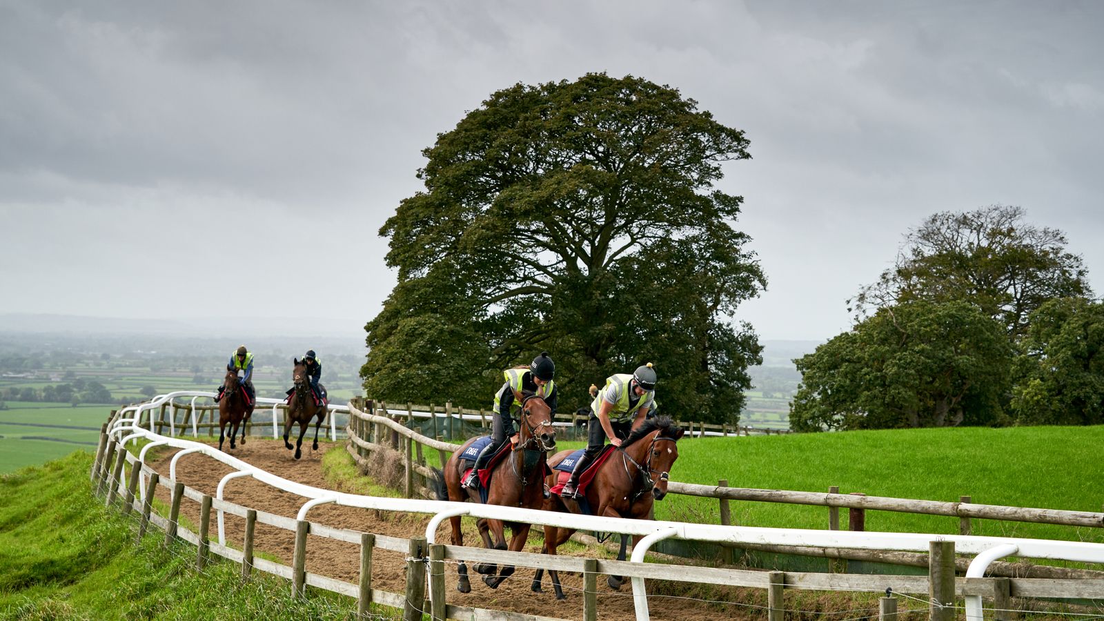 Paul Nicholls: Rain leaves champion trainer taking evasive action with several horses moved | Racing News