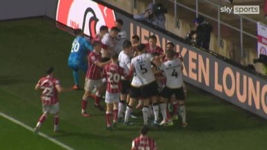 Brawl breaks out at Bristol City-Millwall as tensions boil over