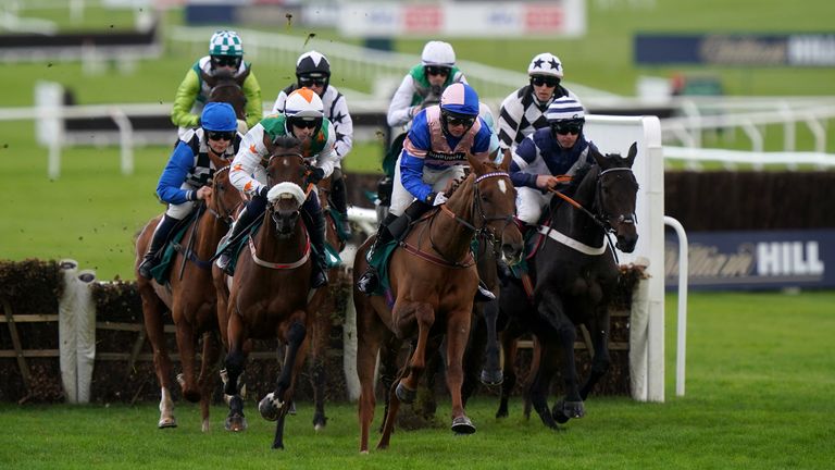 El Elefante leads the pack in a Novices' Hurdle at Cheltenham Racecourse. 