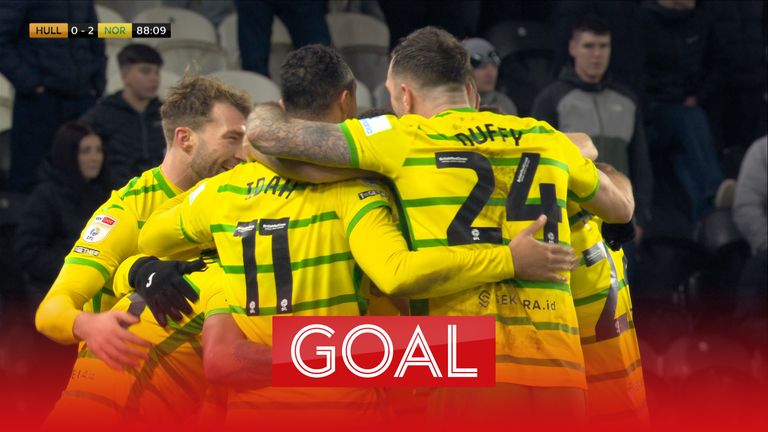 Christian Fassnacht&#39;s scrappy goal saw Norwich City take a 2-0 lead over Hull City.