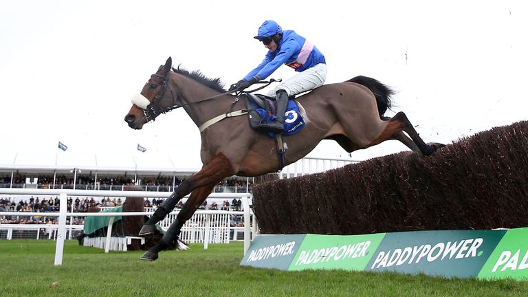 Libberty Hunter gets a first success over fences at Cheltenham
