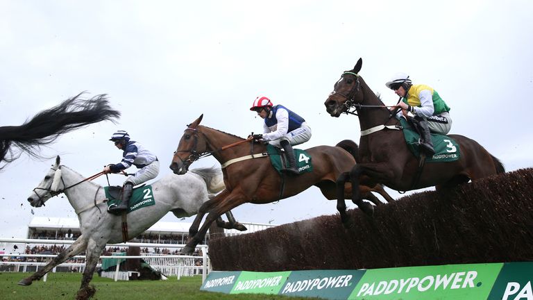 Shakem Up&#39;Arry in action at Cheltenham on New Year&#39;s Day
