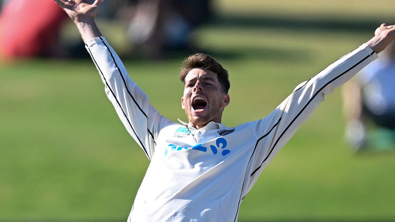 Nueva Zelanda goleó a Sudáfrica por 281 carreras para ganar la prueba inaugural en Bay Oval |  Noticias de críquet