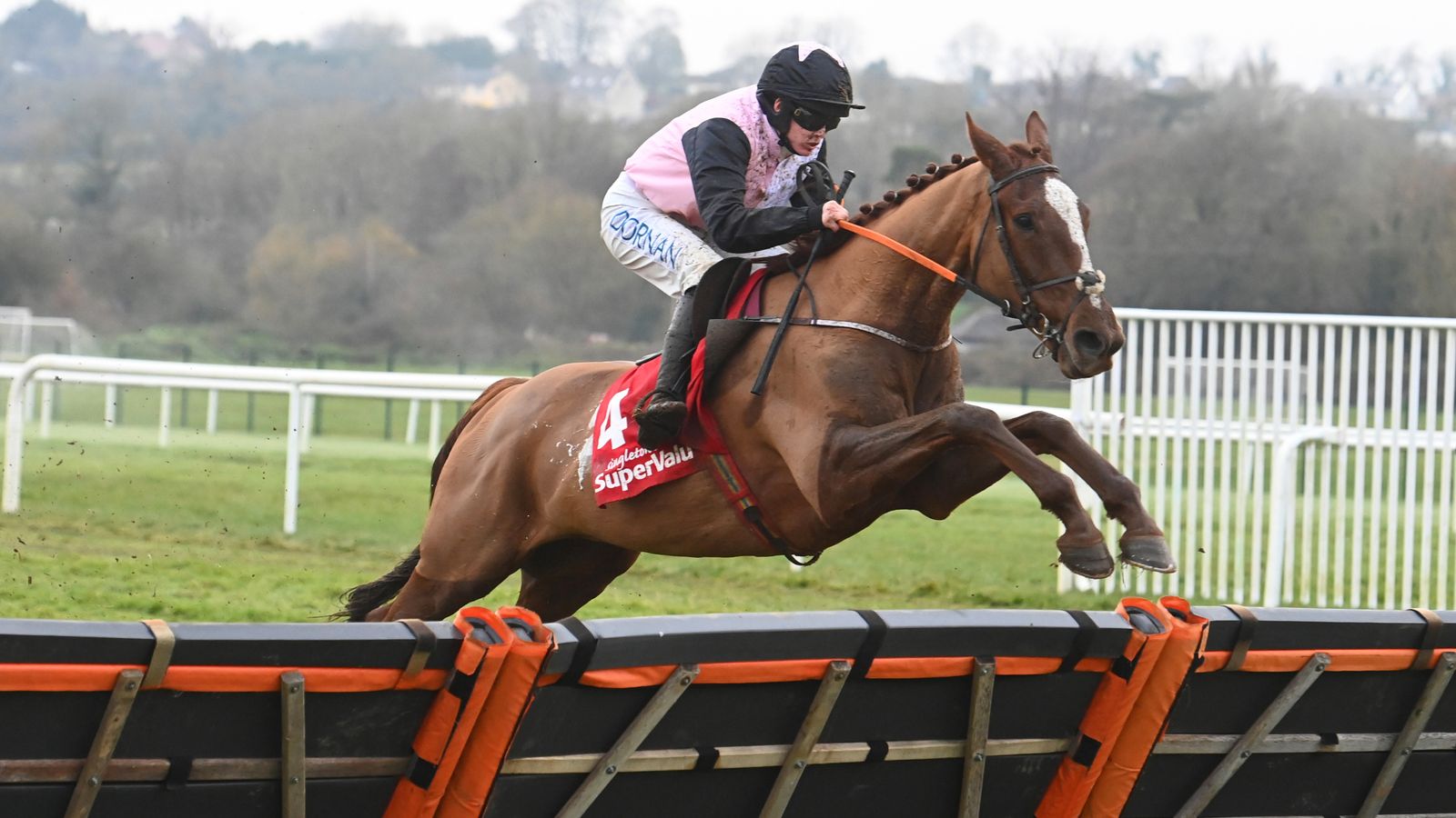 Navan’s Boyne Hurdle: Hiddenvalley Lake lands smooth success for Henry de Bromhead | Racing News Navan’s Boyne Hurdle: Hiddenvalley Lake lands smooth success for Henry de Bromhead | Racing News