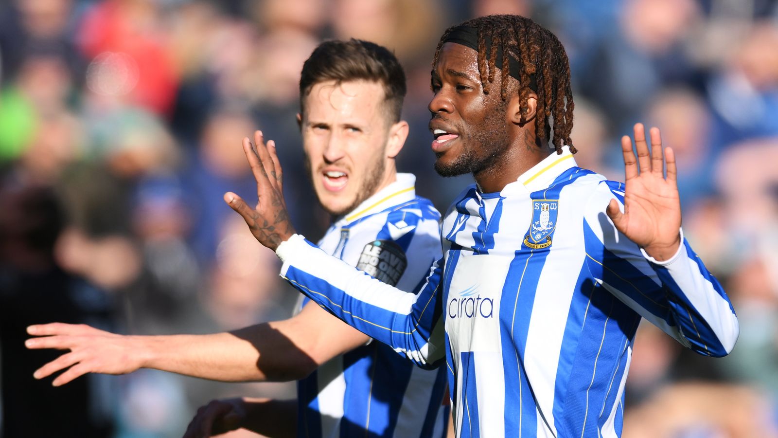 Sheffield Wednesday 2-1 Bristol City: Ike Ugbo double steers Owls to  victory | Football News | Sky Sports