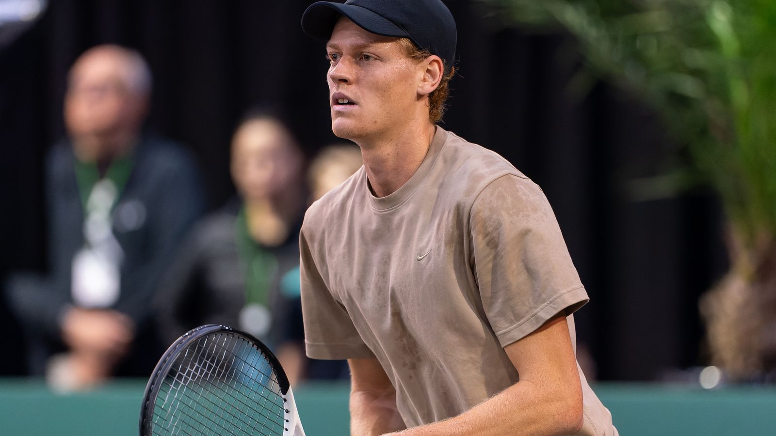 ABN AMRO Open, Rotterdam: Jannik Sinner comienza ganando en Rotterdam después de la victoria en el Abierto de Australia |  Noticias de tenis