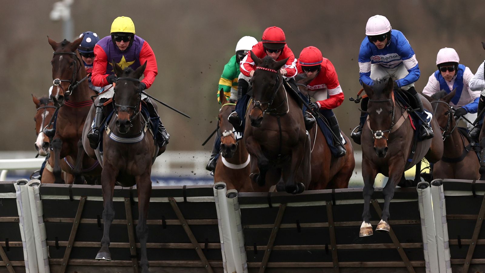 Horses to follow: Can Pic D’Orhy topple L’Homme Presse in Betfair Ascot Chase? | Racing News Horses to follow: Can Pic D’Orhy topple L’Homme Presse in Betfair Ascot Chase? | Racing News