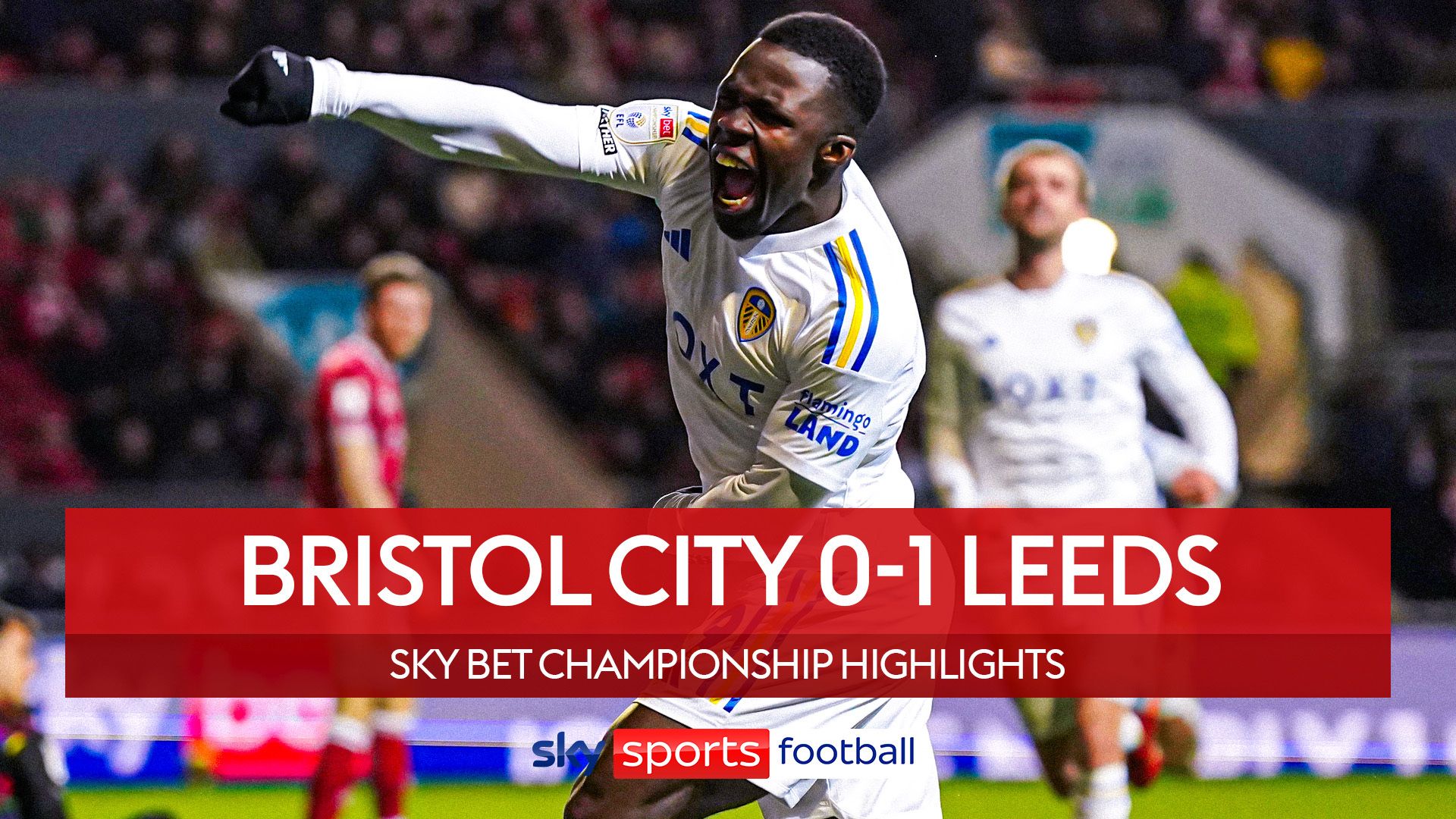 Bristol City 0-1 Leeds