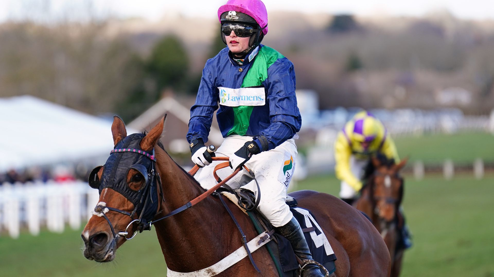 Sublime Heights heads 11-strong field at Plumpton