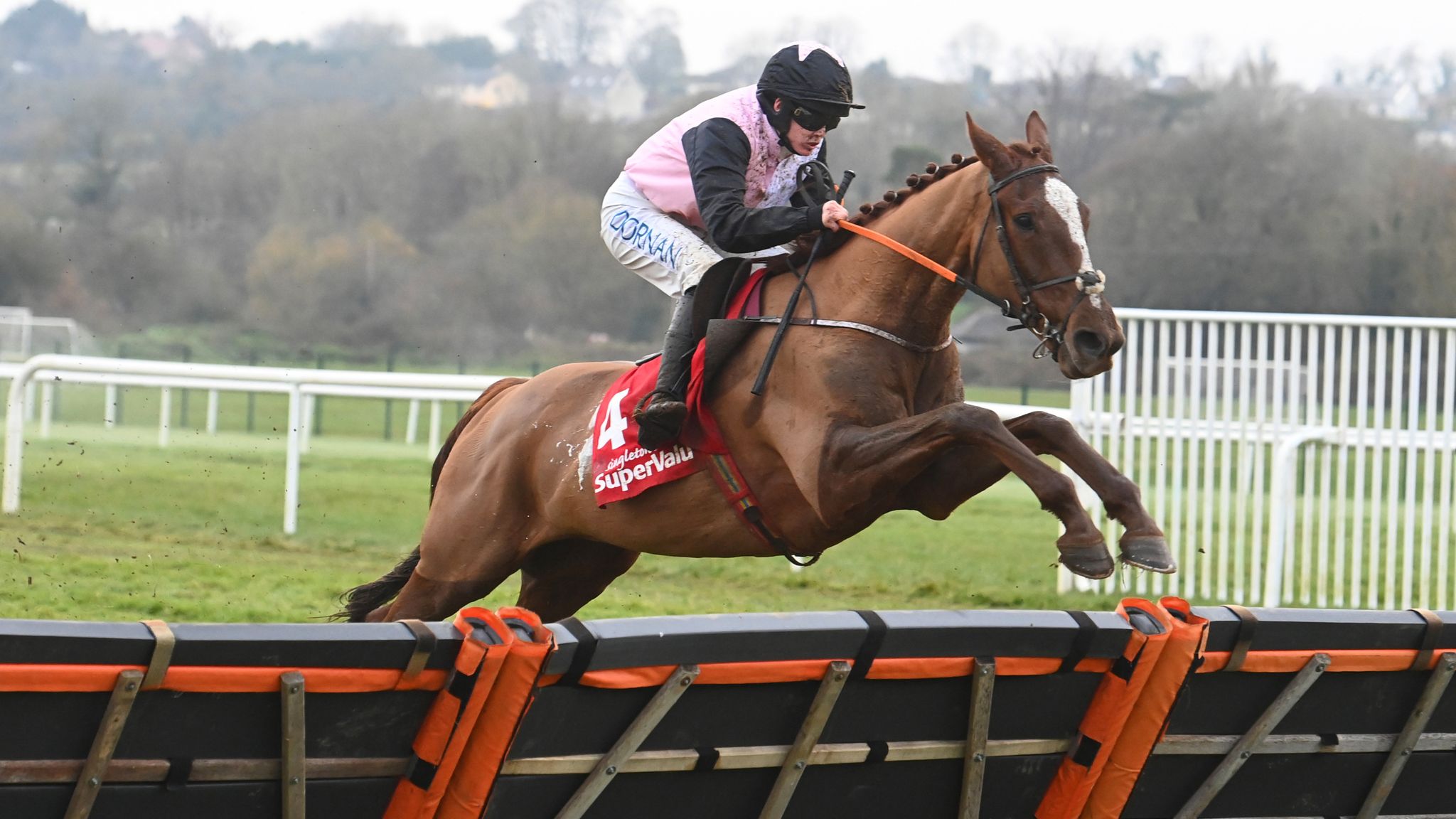 Navan's Boyne Hurdle: Hiddenvalley Lake Lands Smooth Success For Henry 