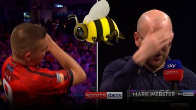 'It's an infestation!' | Has the Ally Pally wasp travelled to Exeter?