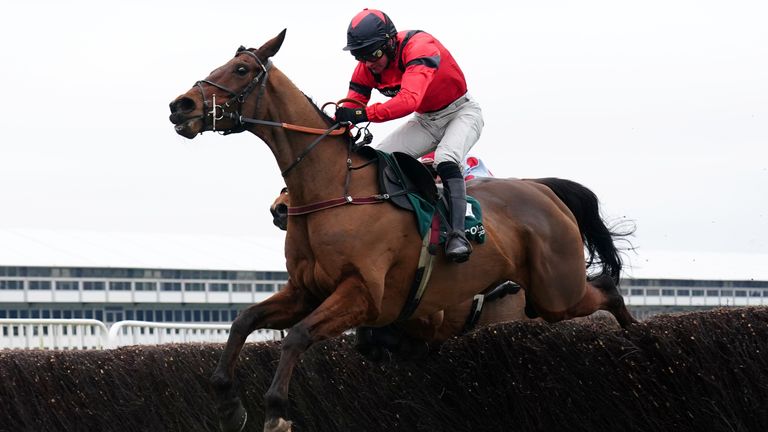 Ahoy Senor is an Ascot Chase contender for Derek Fox and Luncida Russell