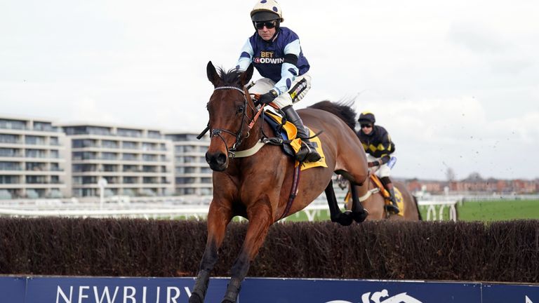 Edwardstone passed the Game Spirit Chase test with flying colours at Newbury