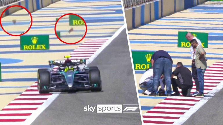 Essais F1 : Carlos Sainz le plus rapide pour Ferrari lors de la deuxième journée à Bahreïn alors que Lewis Hamilton se montre prometteur pour Mercedes |  Actualités F1