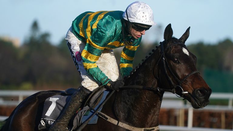 Fact To File won the Ladbrokes Novice Chase at Leopardstown