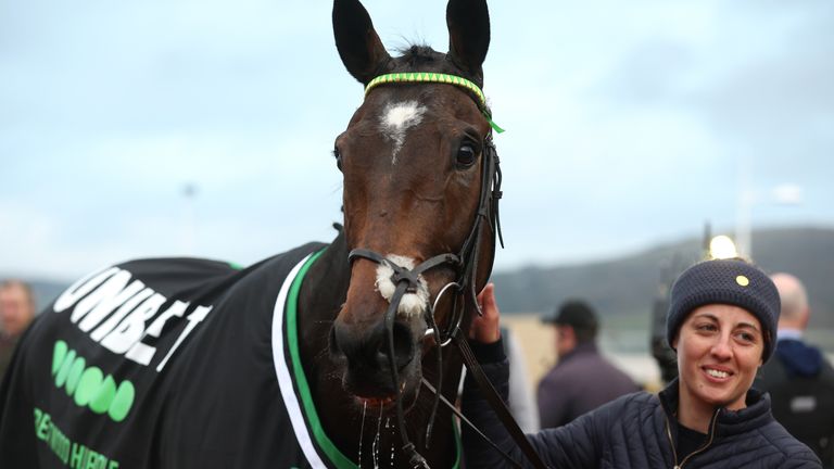 Iberico Lord is set to run in the Betfair Hurdle for Nicky Henderson