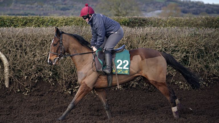 Jade de Grugy being put through her paces