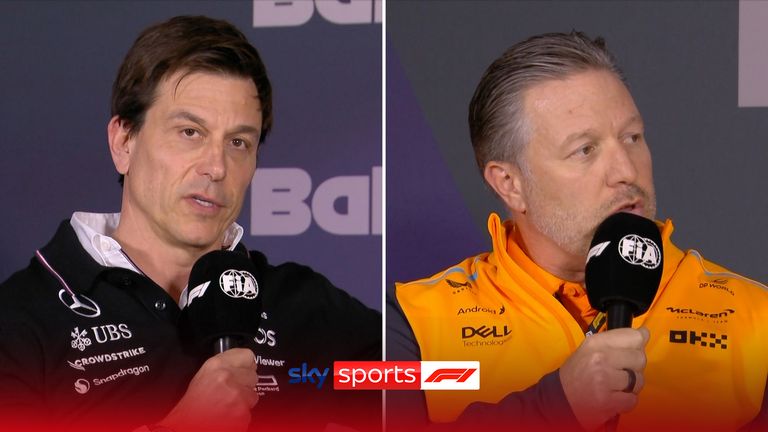 Team bosses Toto Wolff and Zak Brown have called for more &#39;transparency&#39; over the investigation into allegations against Christian Horner which have been dismissed. The complainant has the right to appeal the verdict.