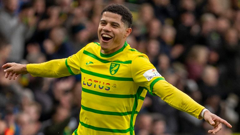 Gabriel Sara celebrates after scoring in Norwich's emphatic win over Cardiff