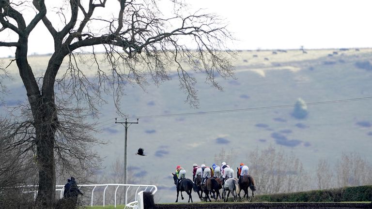 Plumpton is the venue for Monday's afternoon racing