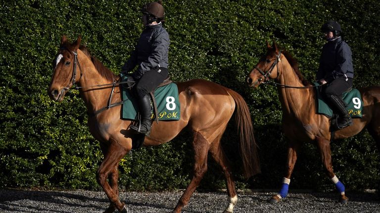 State Man shaping well ahead of the Cheltenham Festival's Champion Hurdle