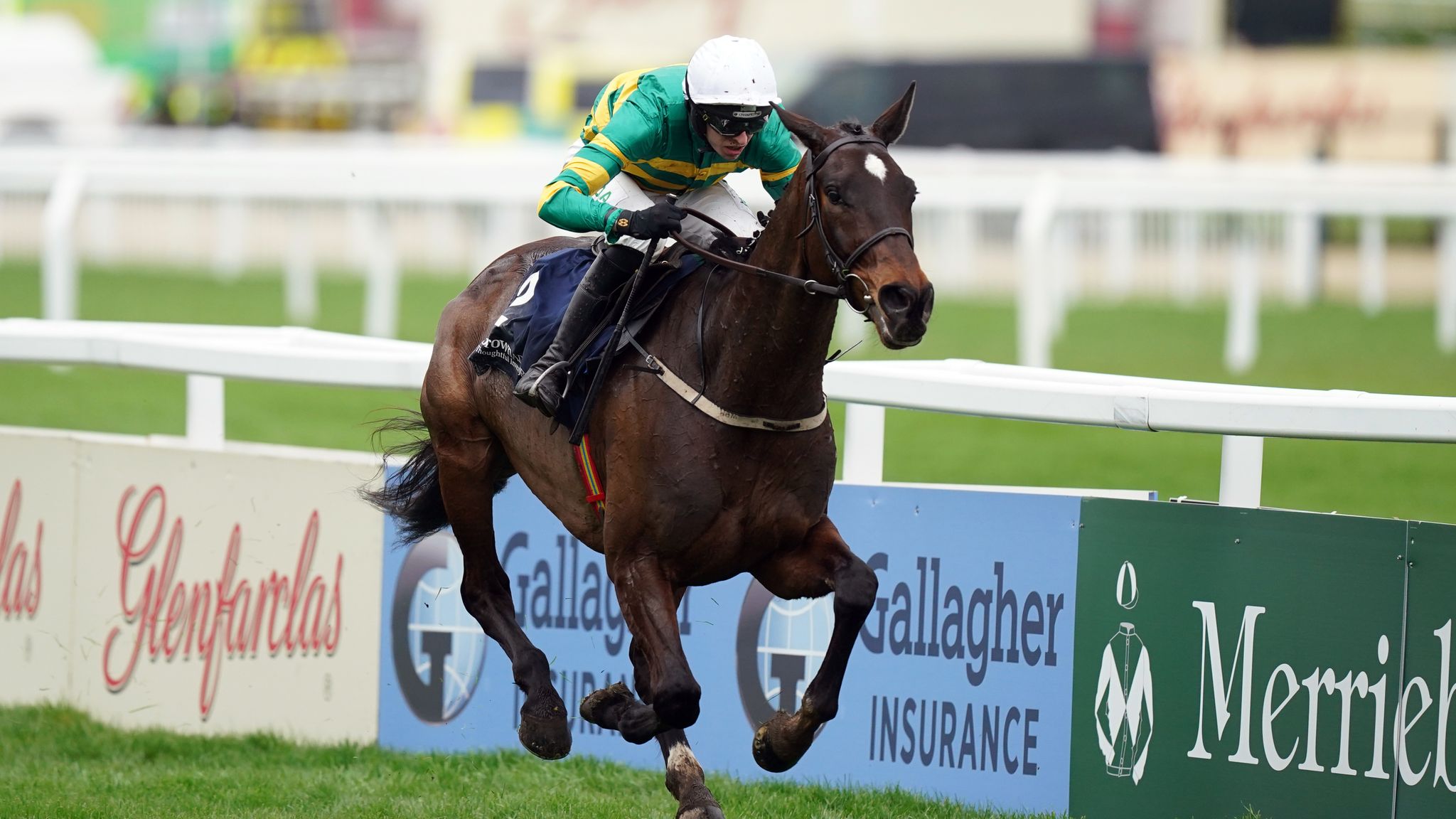 Cheltenham Festival: Fact To File soars to victory in Brown Advisory ...
