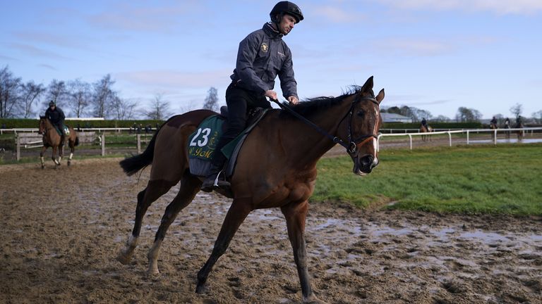 Facile Vega is eyeing the Arkle