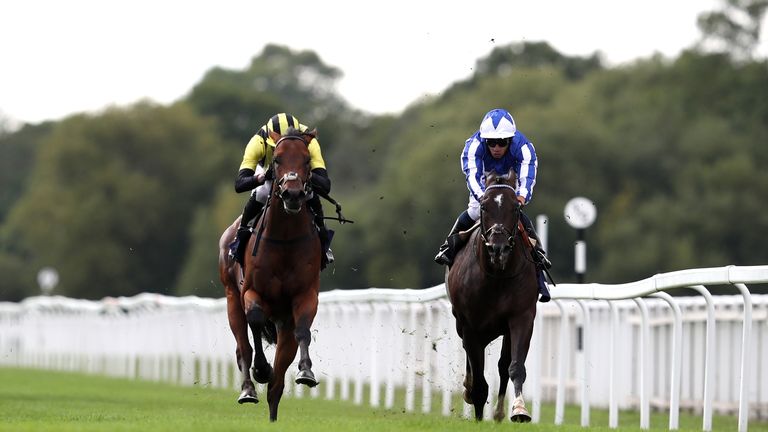 Fivethousandtoone (right) is Simon Mapletoft's 9/1 pick for the final day