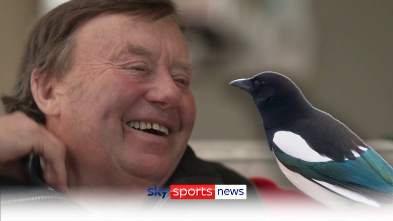 Nicky Henderson on his love of magpies and Cheltenham superstitions. 