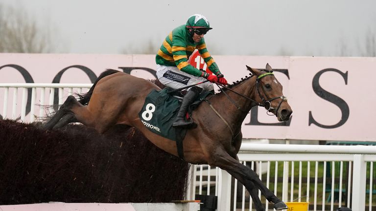 Limerick Lace soars home in the Mares' Chase 