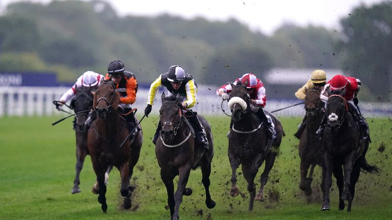 It's Newcastle and Southwell for Tuesday's action