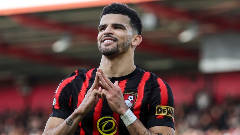 Dominic Solanke celebrates after scoring Bournemouth's opening goal against Everton