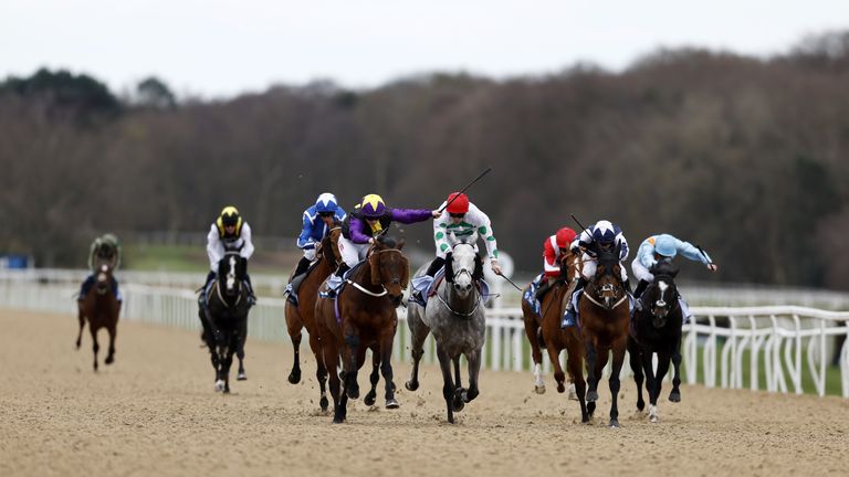 It's All-Weather Championships Finals Day at Newcastle and Lingfield