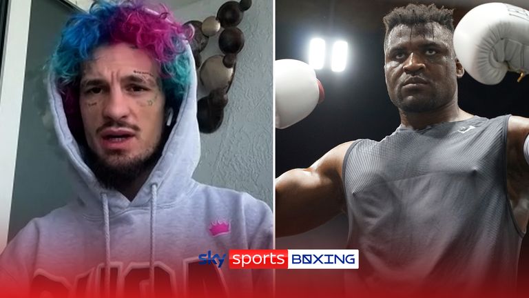 bantamweight champion Sean O'Malley 