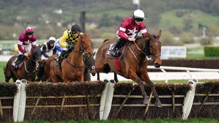 Stellar Story nabbed the Albert Bartlett for Gordon Elliott 