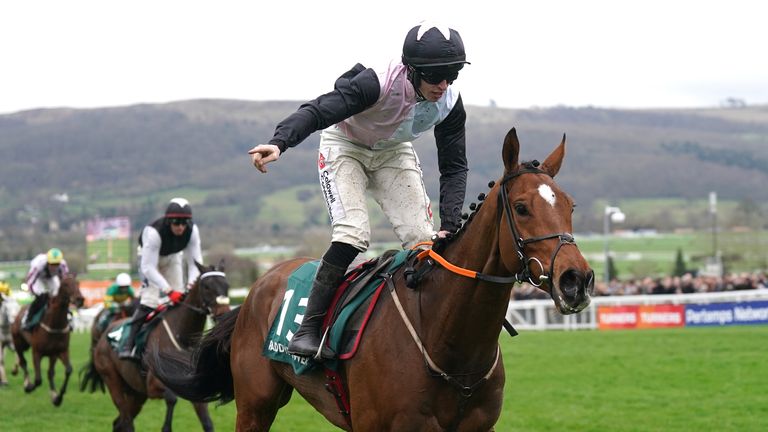 Gordon Elliott got off the mark at the Festival in the Stayers' Hurdle with Teahupoo