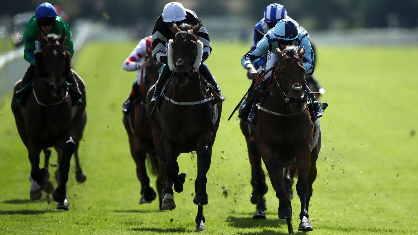 Today on Sky Sports Racing: Stressfree and Maxi King clash at Ripon