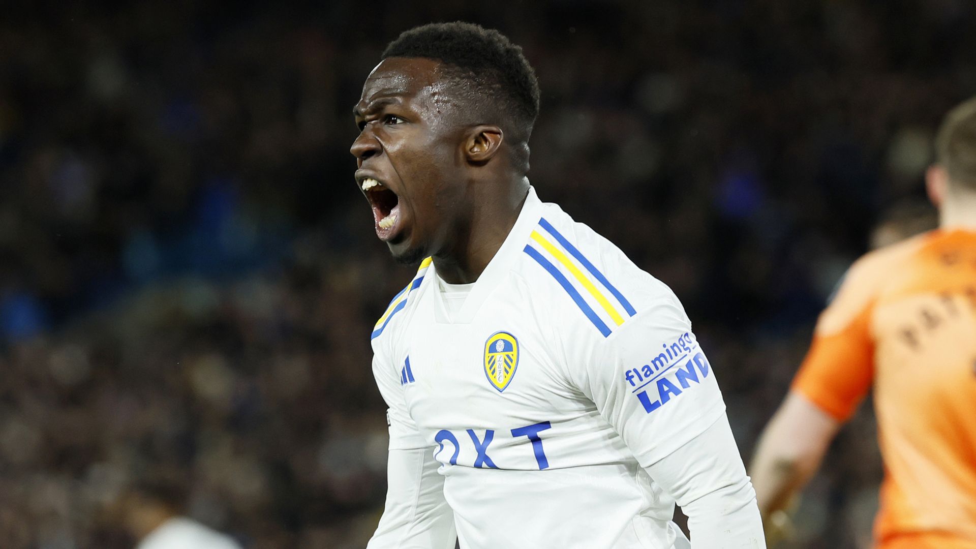 Leeds frustrated by Sunderland in goalless draw