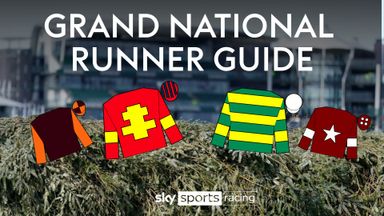 Grand National 2024: Runner guide and prediction!